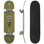 Skateboard DSB-T02