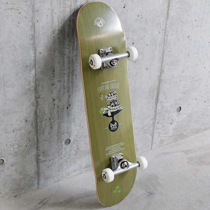 Skateboard DSB-T02