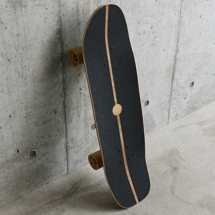 Cruiser Skateboard DSB-C02