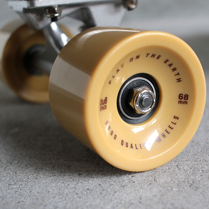 Cruiser Skateboard DSB-C02